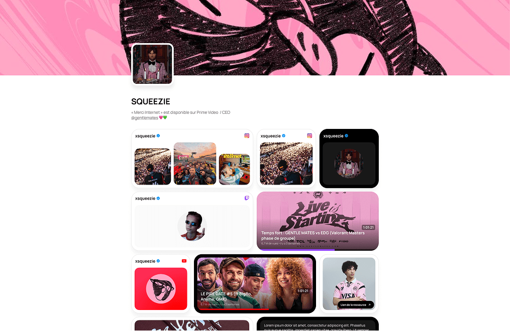 Template Paage desktop inspiré du profil de Squeezie